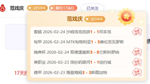 Raccoin游戏最佳角色推荐